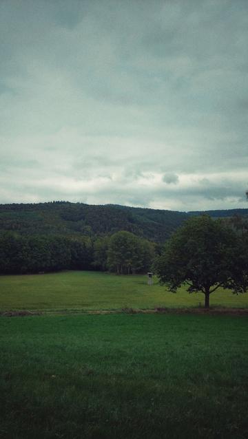 A meadow and forests on hills behind. Grey clouds, little light.
