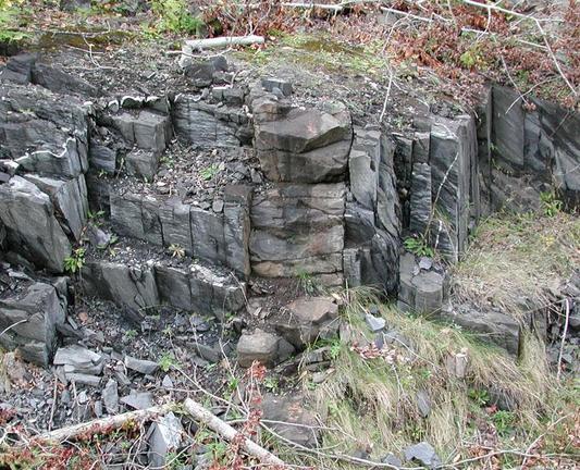 A photo of an igneous dyke intruding into metamorphosed sedimentary rocks, exposed as a low outcrop (an old road cut). This is one of the dykes found near Ayer's Cliff, Quebec (just SE of Magog).
