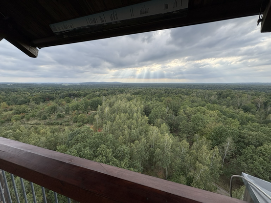 A view facing west from the lookout tower in Königsbrücker Heide