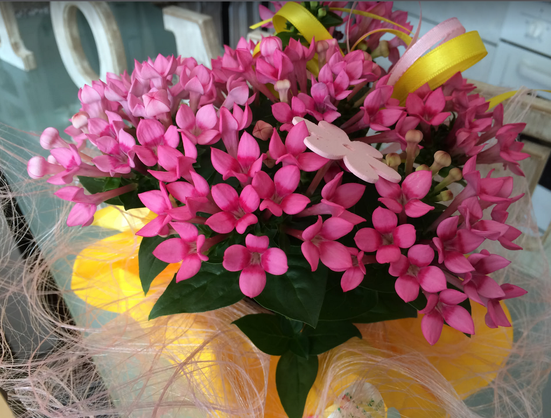 Das Bild zeigt einen Blumenstrauß mit zarten, pinkfarbenen Blüten, die in gelbes Papier eingewickelt und mit einer dekorativen Schleife sowie einem kleinen Schmetterling verziert sind.