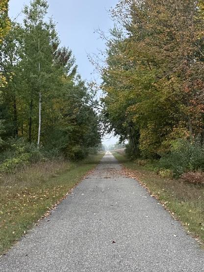 Tree-lined rails to trails paved path, some of the trees are still green, some have begun to change colors to yellow, orange, and red. There are leaves on the paved path.
