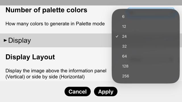 Settings showing auto palette selections.
