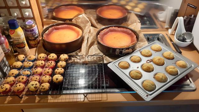 Auf einem breiten Cerankocjfeld stehen hinten an der Wand nebeneinander zwei Käsekuchen in ihrer Springform, davor steht links auf einem Auskühlgitter 25 kleine Schoko Muffins und rechts daneben 12 große Zitronen Muffins wo die Glasur noch fehlt. Die 12 Muffins befinden sich auch noch I ihrer Fotm/Blech.
