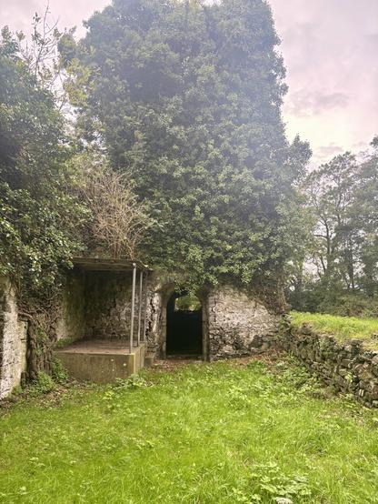 Remains at Llanmihangel Cowin