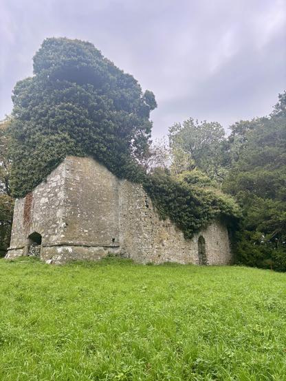 Ivy covered church tower at Llanmihangel Cowin