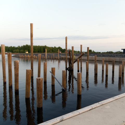 Wooden posts stand in calm harbour water, reflecting the bright serene sky in midsummer night. Trees line the distant shore.