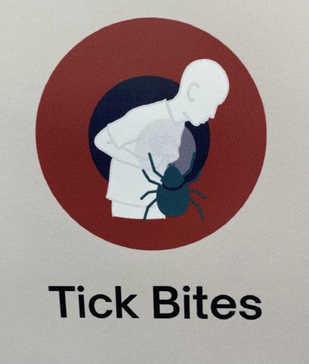 An illustration showing a person looking at their shoulder with a tick on it, accompanied by the text "Tick Bites."
The tick is approximately the same size as a fat chihuahua.