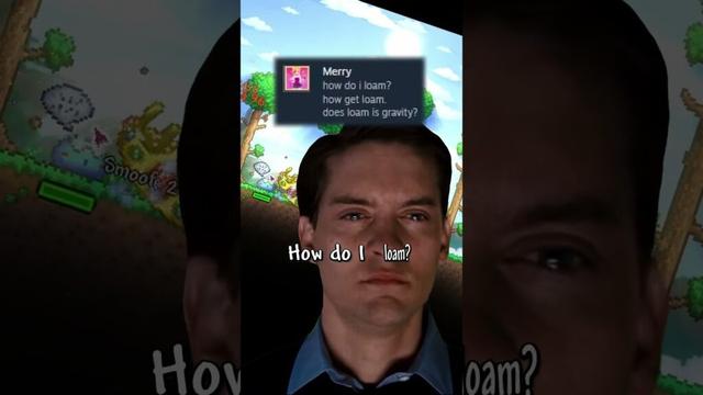 Must Use TERRARIA MODS!!! (trust)