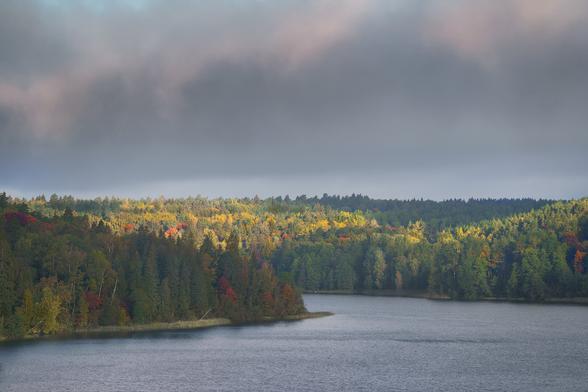 A landscape shot with the lake and a forest on the bottom half of the photo and cloudy sky on the top part. Some trees already have some redish color in the early autumn. Some treetops have patches of sunlight