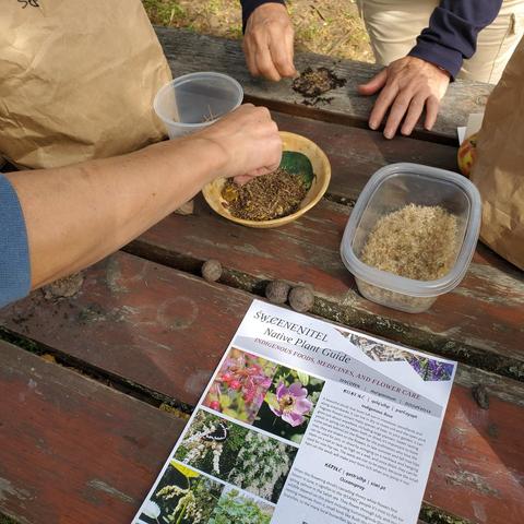 The image shows a wooden picnic table setting with objects related to native plants. A guide titled "ŚW,CENENITEL Native Plant Guide: Indigenous Foods, Medicines, and Flower Care" is placed at the bottom of the shot. The guide features images and text related to Indigenous Rose and Oceanspray. Above the guide are several open containers: a wooden bowl with plant matter, a clear plastic tubs containing fluffy material, and other gardening items