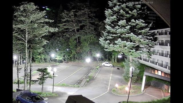 熊出没情報LIVE配信　新潟県湯沢町三国のマンション内　2025年9月27日　21:30頃