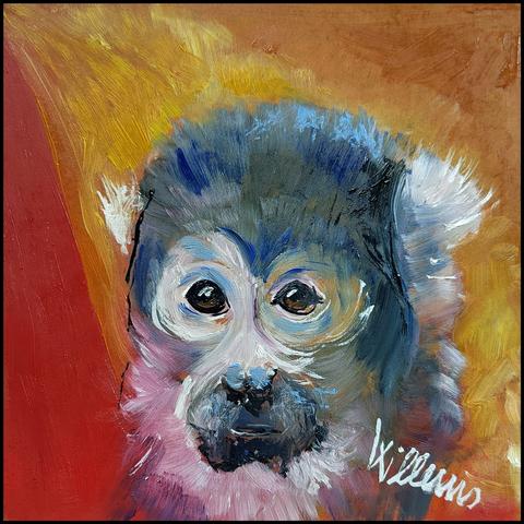 Tierportrait, Äffchen