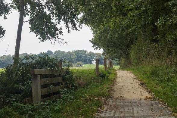 Kuiperberg Ootmarsum