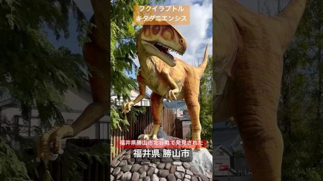 「フクイラプトル・キタダニエンシス」福井県勝山市北谷町の化石発掘現場で発見。約4.2m、推定体重は約300〜400Kg。大きなカギ爪を持ち比較的華奢な体型をしていた。(ラプトル＝泥棒の意）福井県勝山市