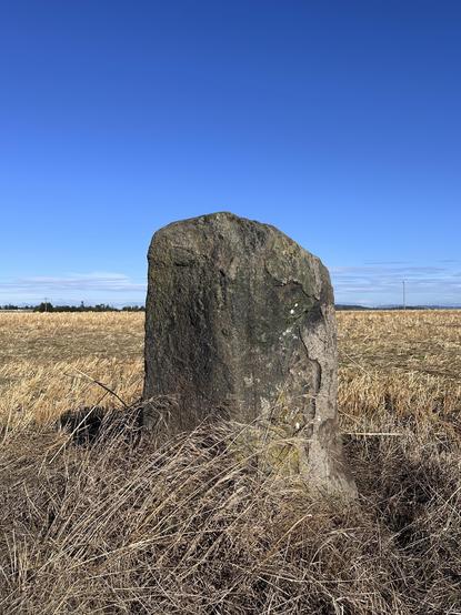 A relatively small standing stone in a ploughed field, with only the yellowing stubble of the crop remaining. The stone is angular and around 3 feet high. Behind the stone is the far off horizon with a line of trees, and a sky almost completely devoid of clouds.