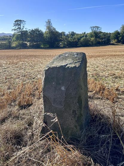 A relatively small standing stone in a ploughed field, with only the yellowing stubble of the crop remaining. The stone is angular and around 3 feet high. Behind the stone is a bank of trees of trees, and a sky almost completely devoid of clouds with an aeroplane contrail in the upper right of the frame.