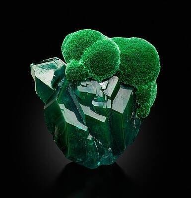 Dioptase and malachite by Louis Verschuren. From Tsumeb in Namibia. It looks like deep emerald crystals having brighter green fuzzy Forbidden Broccoli growing over the top right side.