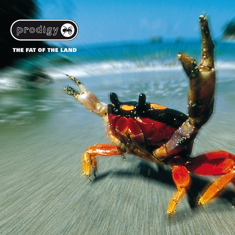 Albumcover "The Fat of the Land" von The Prodigy, zeigt einen orange-roten Krebs im Vordergrund vor durch Bewegungsunschärfe verzerrtes Wasser am Stand.