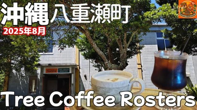 【沖縄県 八重瀬町】ケーキと珈琲を楽しみながら寛げる空間！自家焙煎珈琲店Tree  Coffee Rosters 世名城本店