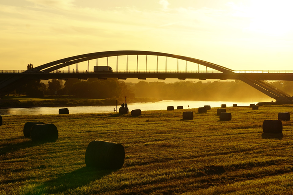 Heuballen auf den Elbwiesen, Sonne scheint durch den Staub der Mäher unter der Waldschlößchenbrücke hindurch