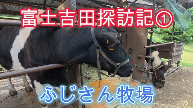 富士吉田探訪記①ふじさん牧場【Vlog風】