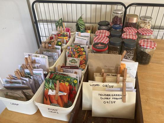 Eight tubs of seed packets on a table. A tub for the part of the crop that is harvested: fruit, flower, root and leaf with extra tubs for peas and beans. The front two trays are labelled leaf and root crops. A wooden tray holds envelopes of saved seed. Two clearest envelopes have woad 08/25 and Tendergreen dwarf french bean 09/25 to denote the date other were saved. A selection of glass jars are behind the wooden tray. They mostly contain different saved bean seeds with various varieties written on the lids: aquadulce broad beans, Greek, czar, Cherokee trail of tears, noir bush beans, Carlin peas and Latvian peas. Two metal fence panels stand behind the table.