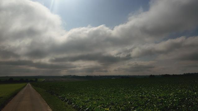weiter Blick über Felder mit Wolken verhangenem Himmel.  Lichtstimmung ist kühl und herbstlich.
