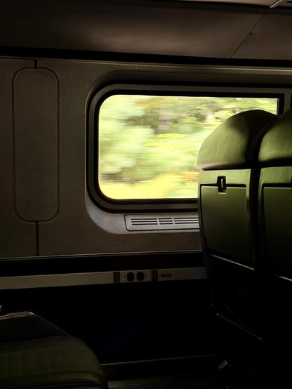 A photo of the interior of an Amtrak train with a window looking at trees speeding by.