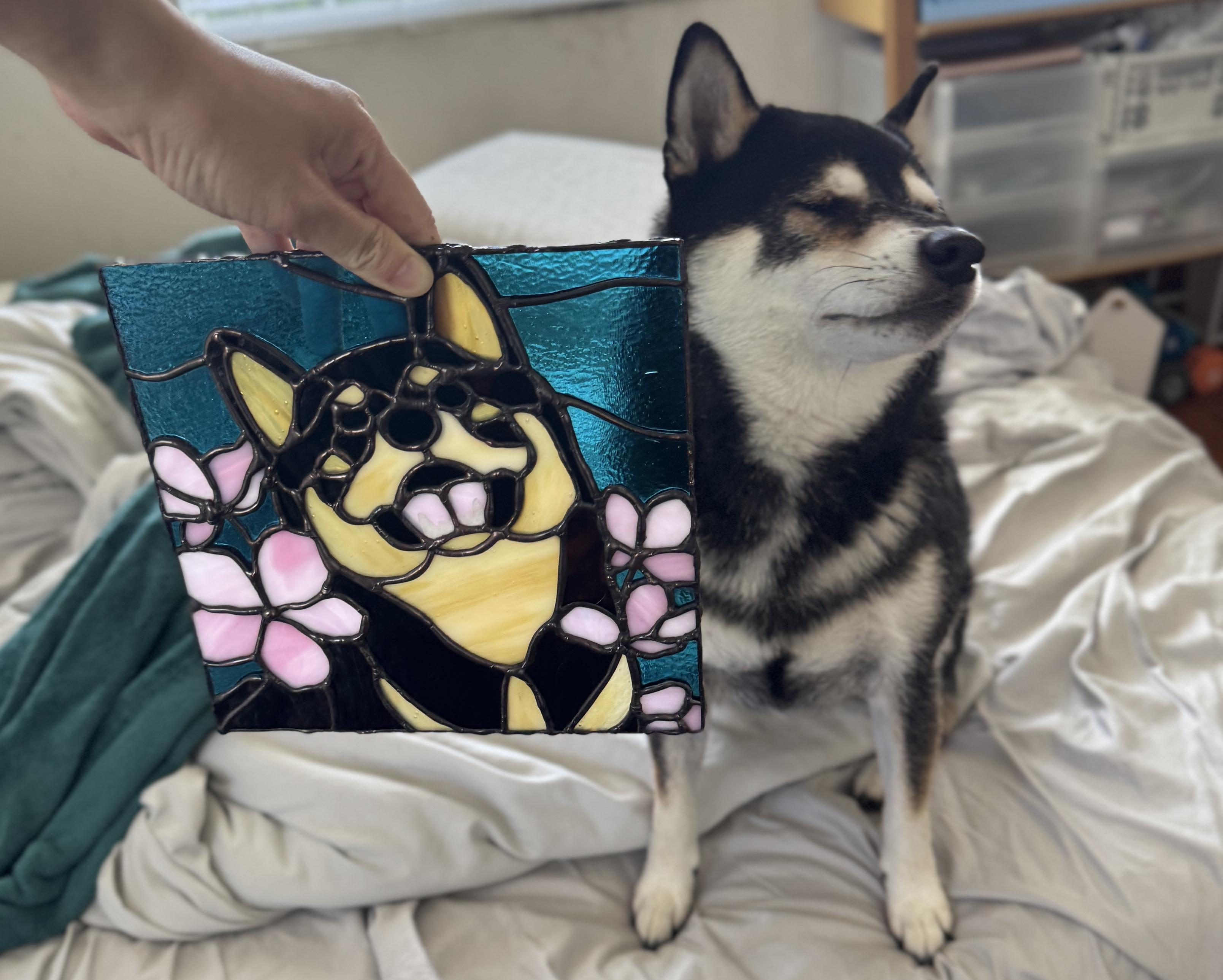 Stained glass of Shiba Inu dog next to the Shiba Inu himself. He has a disdained look on his face.