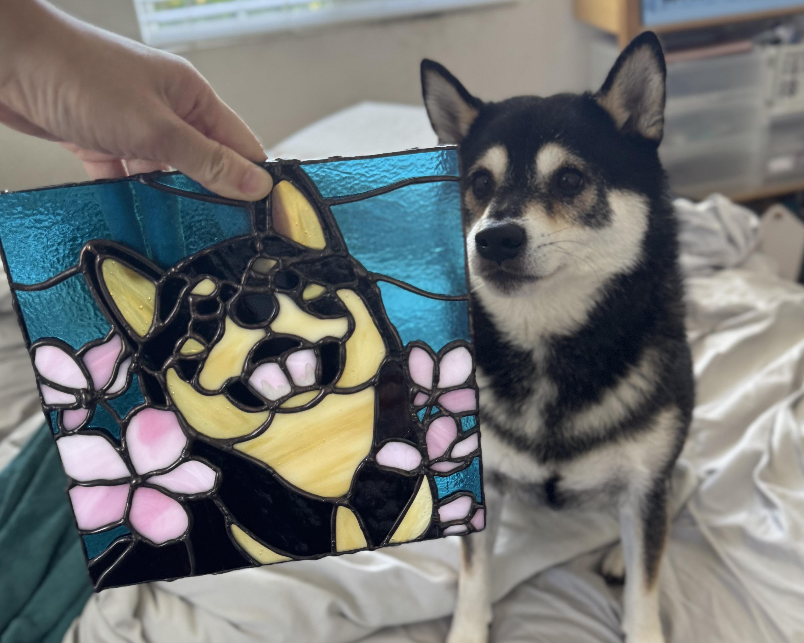 Stained glass of Shiba Inu dog next to the Shiba Inu himself. He has a judging look on his face.