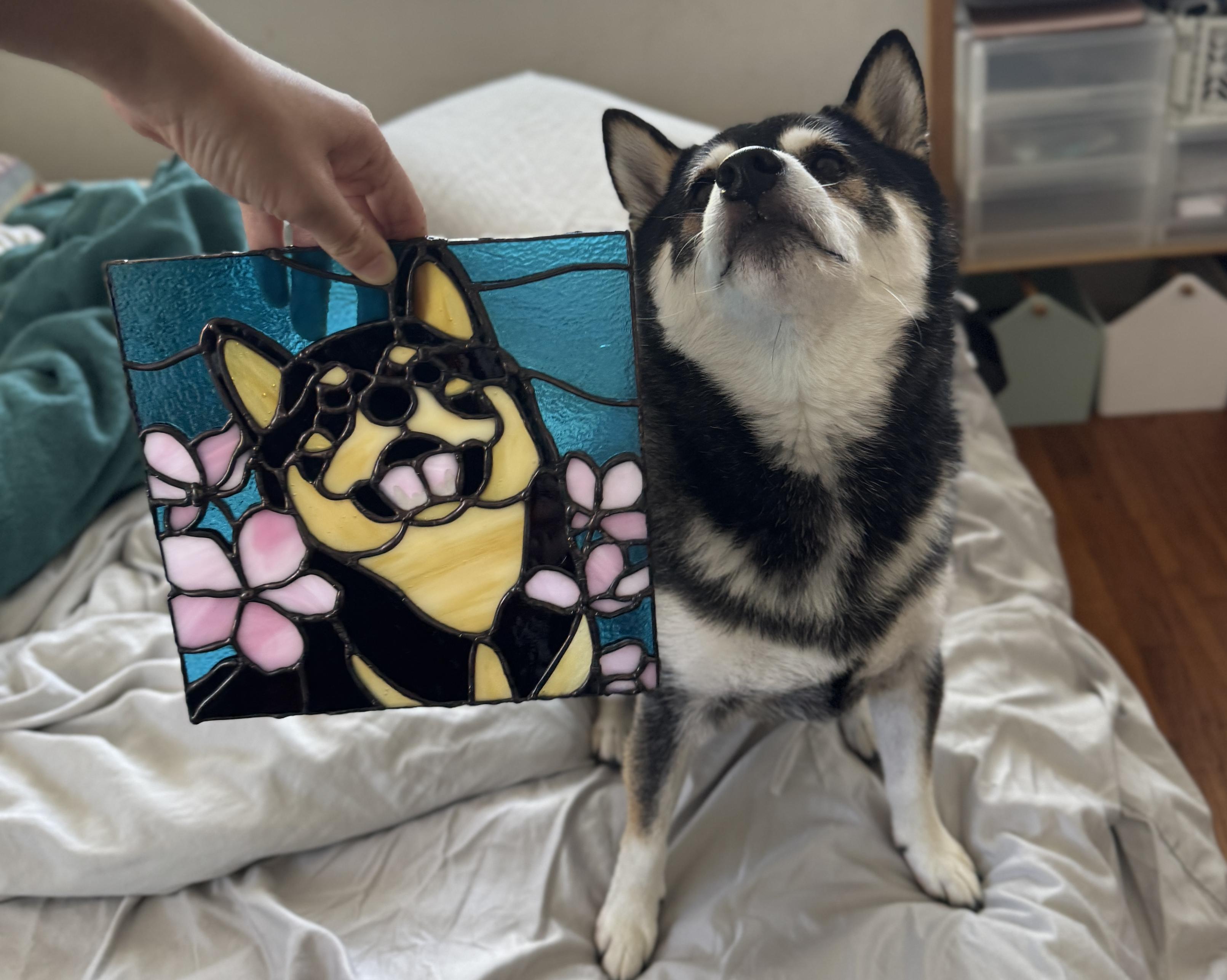 Stained glass of Shiba Inu dog next to the Shiba Inu himself. He has a smug look on his face.