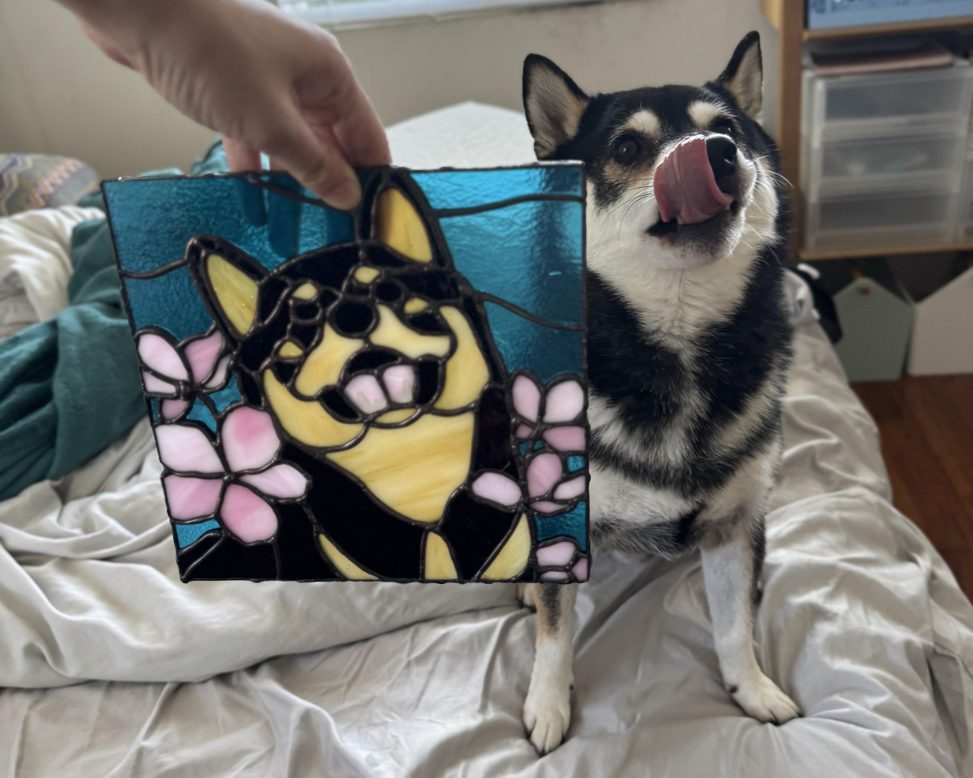 Stained glass of Shiba Inu dog next to the Shiba Inu himself. He is not paying attention and has his tongue out.