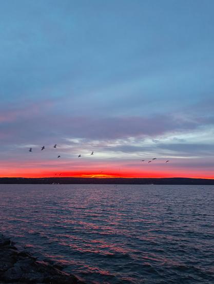 Bright orange sunset at a lake. The water reflects pink and orange hues from the sunset. There is ten birds flying just above the colorful zone in the horizon.
