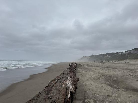 Facing north from the mouth of the Siletz River, the camera rests on top of a large log at the crest of the beach. Spanish Head hotel is seen in the distance, with several stories of rooms overlooking the ocean. Various sized houses line the ridge with conifers between. The seas are angry with white caps as far as the eye can see.