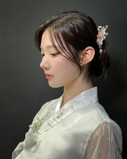 The image features a woman in profile, wearing a traditional white hanbok, a Korean dress. The hanbok is made of a smooth, shiny fabric with intricate silver embroidery, including floral patterns on the collar and sleeves. The woman's hair is styled in a low bun, adorned with a decorative hairpin featuring pearls and floral motifs. She is wearing small, delicate earrings. The background is a solid dark color, which contrasts with the lightness of her attire, highlighting the details of her outfit and accessories.

Provided by @altbot, generated privately and locally using Ovis2-8B