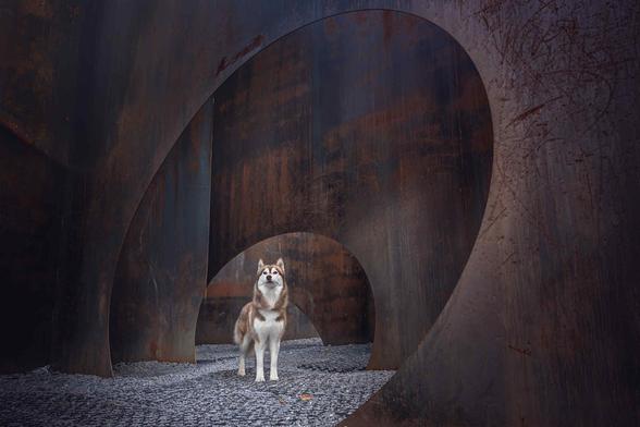 Photo-shoot from Kolyma's Siberians Vanka.