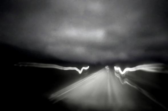 👣 «Incluso si supiera que mañana el mundo se haría añicos, aún plantaría mi manzano». (Martin Luther King)
🎞️ Foto por Pedro Martínez © (Más fotos que ver en: martinezcorada.es)