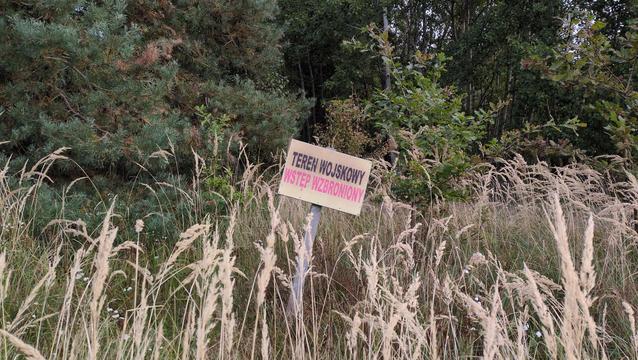 Krzywo postawiona tabliczka "Teren wojskowy [na czarno]. Wstęp wzbroniony [na czerwono]", na drewnianym słupku. Otaczają ją wysokie, żółte trawy. Z tyłu zielone krzewy i drzewa lasu.