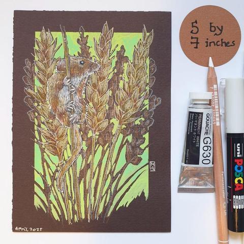 A small drawing of a little harvest mouse climbing a wheat stalk, there is a background in green with more wheat behind the mouse. The drawing is on dark brown pastel paper.
The tiny harvest mouse lives in long grassland, reedbeds, hedgerows, farmland and around woodland edges.
An original art work
Colour pencil and mixed media on acid free toned artist paper
5 by 7 inches (12.7 by 17.8 cm).
Sold unframed