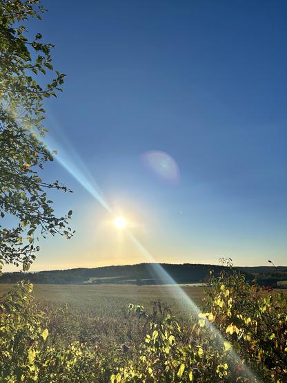 The sun has a risen over the hills. There’s a streak of optic light streaming from two sides of it. In the middle distance and far distance, the hills are green the pastures a little dew covered. in the foreground, the sun is shining through green and colouring leaves on the shrubs in front of me