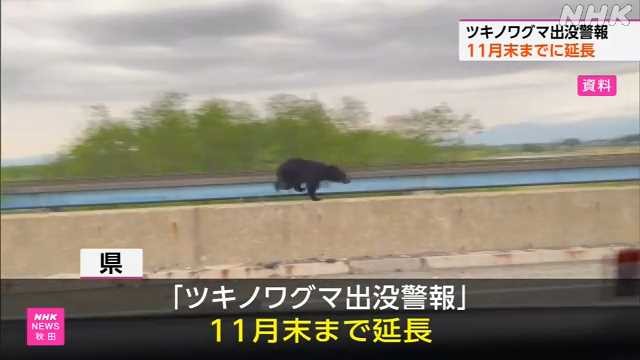 秋田県 ツキノワグマ出没警報 発令期間を１１月末まで延長｜NHK 秋田県のニュース