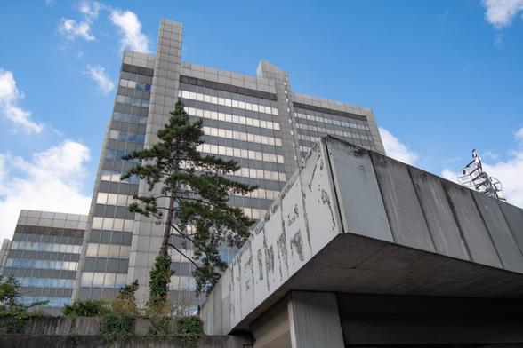 Bonner Stadthaus: Modernes Bürogebäude mit großflächigen Glasfassaden. Dabei eine Anlage mit Bewuchs und großem Nadelbaum mit verwitterter Betonverkleidung.
Foto: Sascha Engst/Bundesstadt Bonn