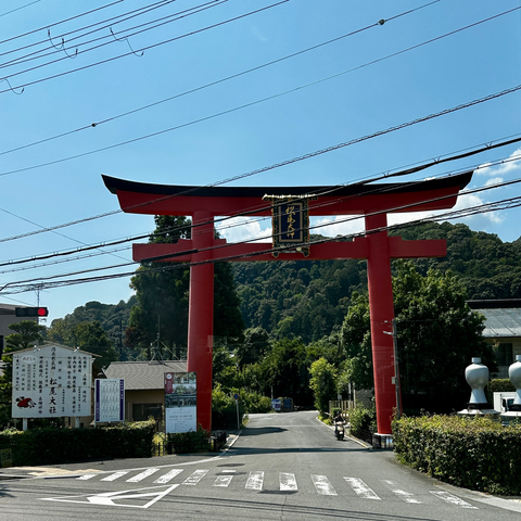 a japanese red gate on/above the street