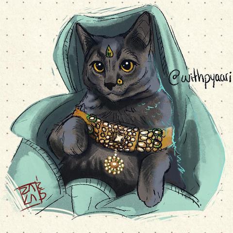 doodle fanart from the cat that gets dressed with saris @withpyaari . A beri biootiful Hindi ketty