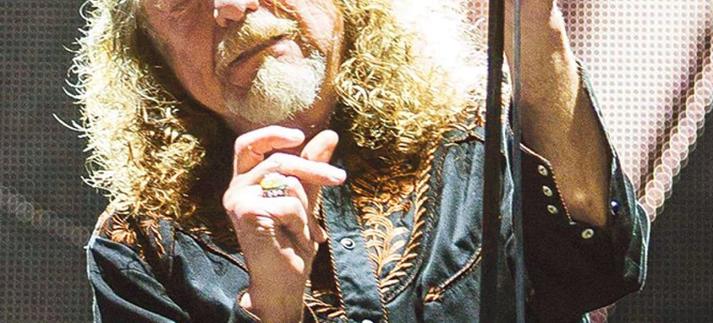 Grande Robert Plant