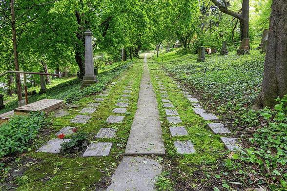 A serene mossy pathway through the historic Toronto Necropolis, surrounded by lush greenery and tombstones.