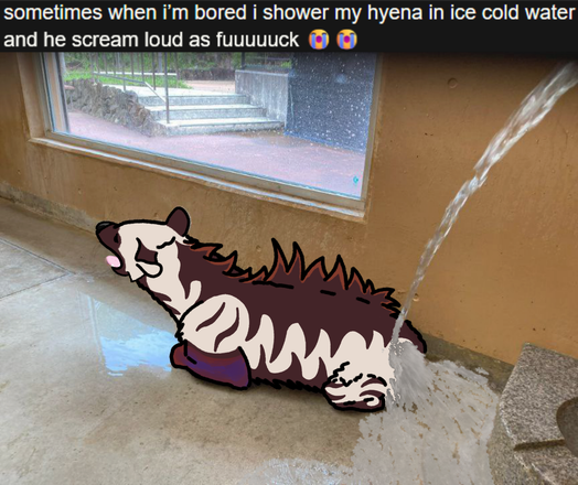 digital meme drawover art. a laying striped hyena with it's mouth open having water poured on it above it's tail by a hose. it's a photo of a hyena getting a bath, but it's recontextualized by a caption that says "sometimes when I'm bored I shower my hyena in ice cold water and he scream loud as fuuuuuck 😭 😭"