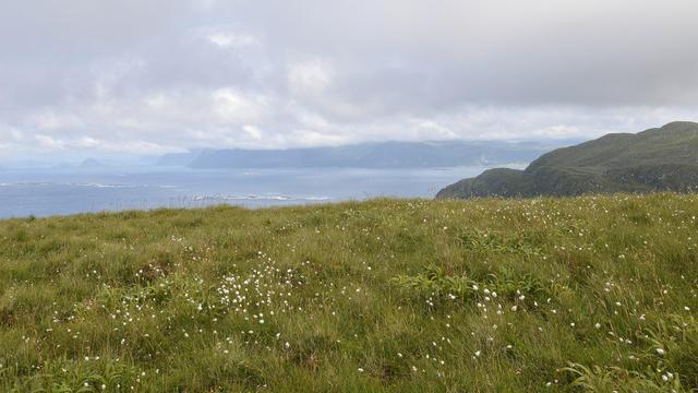 A photo of a grassy field on top of a hilly island. There is water below and mountains in the distance. The sky is filled with white clouds.