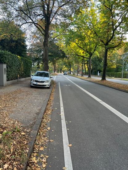 Foto des neuen Radstreifens in der Reventlowstraße im kürzlich neu gestalteten Bereich. Der Streifen ist so breit wie eine KFZ-Fahrspur, daneben parken Autos. Es gibt einen markierten Sicherheitstrennstreifen, welcher Dooring-Unfälle verhindert.