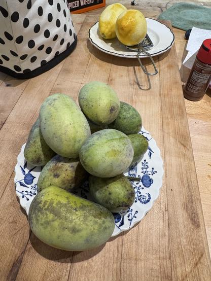 Blue and white dish with pawpaws on a kitchen counter.